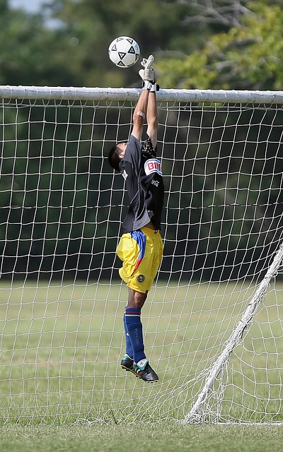 为球迷们呈 为球迷们呈