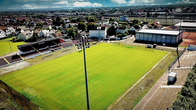 系的成功之 系的成功之