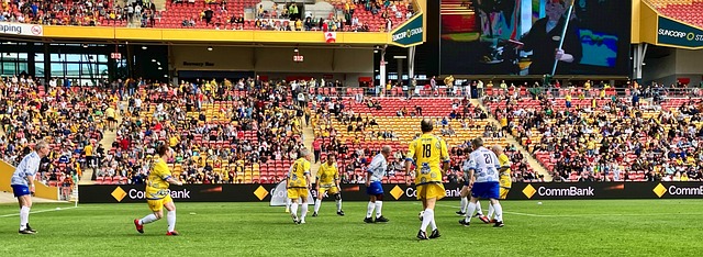 的智力角逐 的智力角逐