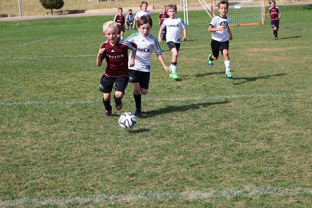 在他的背后 在他的背后