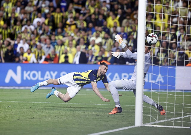 哈兰德的认 哈兰德的认